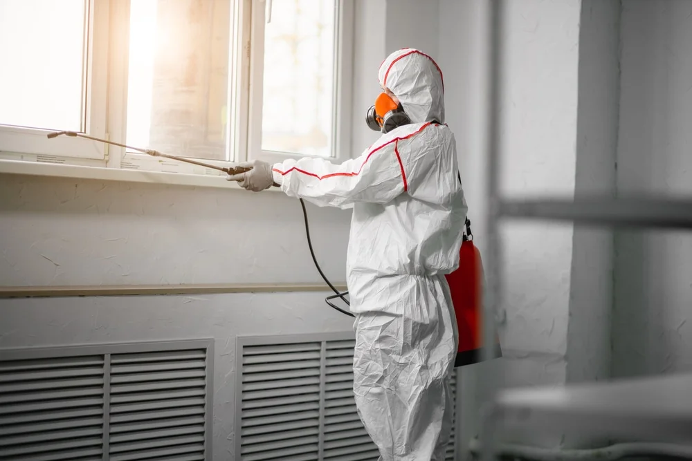 Professional mold remediation services in Gresham, WI